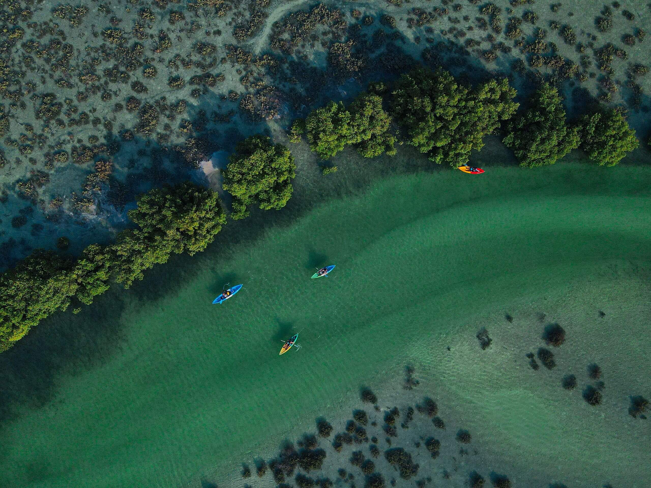 Aerial view of kayaks floating in clear turquoise water surrounded by green mangrove trees.